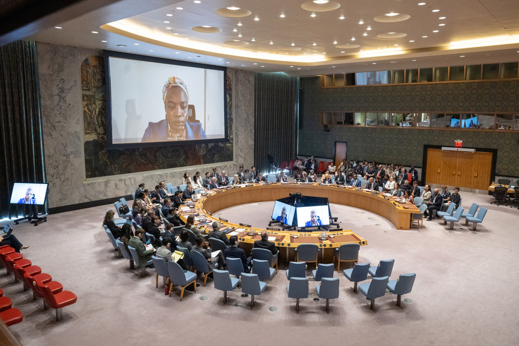 联合国安理会关于妇女、和平与安全问题的会议全景。